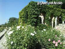 [P02] 29.07.2010 templul apei - gradina castelului din Balcik » foto by essib*
 - 
<span class="allrVoted glyphicon glyphicon-heart hidden" id="av287699"></span>
<a class="m-l-10 hidden" id="sv287699" onclick="voting_Foto_DelVot(,287699,3210)" role="button">șterge vot <span class="glyphicon glyphicon-remove"></span></a>
<a id="v9287699" class=" c-red"  onclick="voting_Foto_SetVot(287699)" role="button"><span class="glyphicon glyphicon-heart-empty"></span> <b>LIKE</b> = Votează poza</a> <img class="hidden"  id="f287699W9" src="/imagini/loader.gif" border="0" /><span class="AjErrMes hidden" id="e287699ErM"></span>