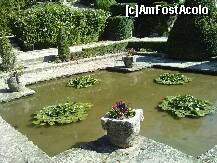 [P03] 29.07.2010 Gradina cu nuferi (gradina englezeasca) in curtea castelului de la Balcik » foto by essib*
 - 
<span class="allrVoted glyphicon glyphicon-heart hidden" id="av287700"></span>
<a class="m-l-10 hidden" id="sv287700" onclick="voting_Foto_DelVot(,287700,3210)" role="button">șterge vot <span class="glyphicon glyphicon-remove"></span></a>
<a id="v9287700" class=" c-red"  onclick="voting_Foto_SetVot(287700)" role="button"><span class="glyphicon glyphicon-heart-empty"></span> <b>LIKE</b> = Votează poza</a> <img class="hidden"  id="f287700W9" src="/imagini/loader.gif" border="0" /><span class="AjErrMes hidden" id="e287700ErM"></span>