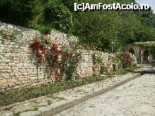 [P19] Piatra si culoare. » foto by Floria
 - 
<span class="allrVoted glyphicon glyphicon-heart hidden" id="av298586"></span>
<a class="m-l-10 hidden" id="sv298586" onclick="voting_Foto_DelVot(,298586,3210)" role="button">șterge vot <span class="glyphicon glyphicon-remove"></span></a>
<a id="v9298586" class=" c-red"  onclick="voting_Foto_SetVot(298586)" role="button"><span class="glyphicon glyphicon-heart-empty"></span> <b>LIKE</b> = Votează poza</a> <img class="hidden"  id="f298586W9" src="/imagini/loader.gif" border="0" /><span class="AjErrMes hidden" id="e298586ErM"></span>