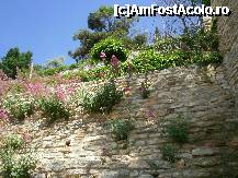 [P09] Flori de piatra. » foto by Floria
 - 
<span class="allrVoted glyphicon glyphicon-heart hidden" id="av298573"></span>
<a class="m-l-10 hidden" id="sv298573" onclick="voting_Foto_DelVot(,298573,3210)" role="button">șterge vot <span class="glyphicon glyphicon-remove"></span></a>
<a id="v9298573" class=" c-red"  onclick="voting_Foto_SetVot(298573)" role="button"><span class="glyphicon glyphicon-heart-empty"></span> <b>LIKE</b> = Votează poza</a> <img class="hidden"  id="f298573W9" src="/imagini/loader.gif" border="0" /><span class="AjErrMes hidden" id="e298573ErM"></span>