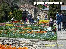 [P39] Balcic-gradina botanica » foto by raduu1972
 - 
<span class="allrVoted glyphicon glyphicon-heart hidden" id="av219798"></span>
<a class="m-l-10 hidden" id="sv219798" onclick="voting_Foto_DelVot(,219798,3210)" role="button">șterge vot <span class="glyphicon glyphicon-remove"></span></a>
<a id="v9219798" class=" c-red"  onclick="voting_Foto_SetVot(219798)" role="button"><span class="glyphicon glyphicon-heart-empty"></span> <b>LIKE</b> = Votează poza</a> <img class="hidden"  id="f219798W9" src="/imagini/loader.gif" border="0" /><span class="AjErrMes hidden" id="e219798ErM"></span>