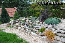 [P09] Peste tot diverse aranjamente, sunt superbe, nici nu stiu ce poze sa va arat mai intai » foto by droniucm
 - 
<span class="allrVoted glyphicon glyphicon-heart hidden" id="av276569"></span>
<a class="m-l-10 hidden" id="sv276569" onclick="voting_Foto_DelVot(,276569,3210)" role="button">șterge vot <span class="glyphicon glyphicon-remove"></span></a>
<a id="v9276569" class=" c-red"  onclick="voting_Foto_SetVot(276569)" role="button"><span class="glyphicon glyphicon-heart-empty"></span> <b>LIKE</b> = Votează poza</a> <img class="hidden"  id="f276569W9" src="/imagini/loader.gif" border="0" /><span class="AjErrMes hidden" id="e276569ErM"></span>