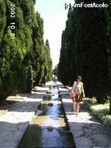 [P02] Tot grădina botanică » foto by Costi
 - 
<span class="allrVoted glyphicon glyphicon-heart hidden" id="av15558"></span>
<a class="m-l-10 hidden" id="sv15558" onclick="voting_Foto_DelVot(,15558,3210)" role="button">șterge vot <span class="glyphicon glyphicon-remove"></span></a>
<a id="v915558" class=" c-red"  onclick="voting_Foto_SetVot(15558)" role="button"><span class="glyphicon glyphicon-heart-empty"></span> <b>LIKE</b> = Votează poza</a> <img class="hidden"  id="f15558W9" src="/imagini/loader.gif" border="0" /><span class="AjErrMes hidden" id="e15558ErM"></span>