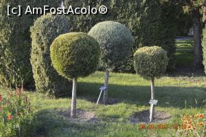 [P05] Gradina Botanica din Balcic » foto by relu mihai
 - 
<span class="allrVoted glyphicon glyphicon-heart hidden" id="av901105"></span>
<a class="m-l-10 hidden" id="sv901105" onclick="voting_Foto_DelVot(,901105,3210)" role="button">șterge vot <span class="glyphicon glyphicon-remove"></span></a>
<a id="v9901105" class=" c-red"  onclick="voting_Foto_SetVot(901105)" role="button"><span class="glyphicon glyphicon-heart-empty"></span> <b>LIKE</b> = Votează poza</a> <img class="hidden"  id="f901105W9" src="/imagini/loader.gif" border="0" /><span class="AjErrMes hidden" id="e901105ErM"></span>