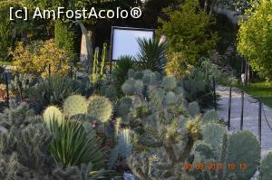 [P07] Gradina Botanica din Balcic - cactusi » foto by relu mihai
 - 
<span class="allrVoted glyphicon glyphicon-heart hidden" id="av901107"></span>
<a class="m-l-10 hidden" id="sv901107" onclick="voting_Foto_DelVot(,901107,3210)" role="button">șterge vot <span class="glyphicon glyphicon-remove"></span></a>
<a id="v9901107" class=" c-red"  onclick="voting_Foto_SetVot(901107)" role="button"><span class="glyphicon glyphicon-heart-empty"></span> <b>LIKE</b> = Votează poza</a> <img class="hidden"  id="f901107W9" src="/imagini/loader.gif" border="0" /><span class="AjErrMes hidden" id="e901107ErM"></span>