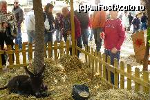 [P08] Magari exista peste tot in lumea asta... » foto by dorgo
 - 
<span class="allrVoted glyphicon glyphicon-heart hidden" id="av190596"></span>
<a class="m-l-10 hidden" id="sv190596" onclick="voting_Foto_DelVot(,190596,3218)" role="button">șterge vot <span class="glyphicon glyphicon-remove"></span></a>
<a id="v9190596" class=" c-red"  onclick="voting_Foto_SetVot(190596)" role="button"><span class="glyphicon glyphicon-heart-empty"></span> <b>LIKE</b> = Votează poza</a> <img class="hidden"  id="f190596W9" src="/imagini/loader.gif" border="0" /><span class="AjErrMes hidden" id="e190596ErM"></span>
