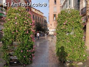 [P35] Străduțe în Malaga.  » foto by Aurici
 - 
<span class="allrVoted glyphicon glyphicon-heart hidden" id="av1103782"></span>
<a class="m-l-10 hidden" id="sv1103782" onclick="voting_Foto_DelVot(,1103782,3219)" role="button">șterge vot <span class="glyphicon glyphicon-remove"></span></a>
<a id="v91103782" class=" c-red"  onclick="voting_Foto_SetVot(1103782)" role="button"><span class="glyphicon glyphicon-heart-empty"></span> <b>LIKE</b> = Votează poza</a> <img class="hidden"  id="f1103782W9" src="/imagini/loader.gif" border="0" /><span class="AjErrMes hidden" id="e1103782ErM"></span>