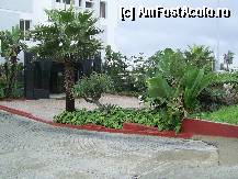 [P22] Casablanca - Vegetatie langa HOTEL DE LA COTE. » foto by iulianic
 - 
<span class="allrVoted glyphicon glyphicon-heart hidden" id="av297593"></span>
<a class="m-l-10 hidden" id="sv297593" onclick="voting_Foto_DelVot(,297593,3221)" role="button">șterge vot <span class="glyphicon glyphicon-remove"></span></a>
<a id="v9297593" class=" c-red"  onclick="voting_Foto_SetVot(297593)" role="button"><span class="glyphicon glyphicon-heart-empty"></span> <b>LIKE</b> = Votează poza</a> <img class="hidden"  id="f297593W9" src="/imagini/loader.gif" border="0" /><span class="AjErrMes hidden" id="e297593ErM"></span>