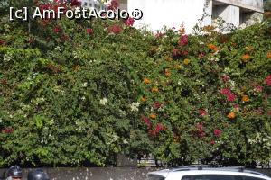 [P12] " Gard viu " la o casa in Casablanca » foto by Dorina9
 - 
<span class="allrVoted glyphicon glyphicon-heart hidden" id="av1145274"></span>
<a class="m-l-10 hidden" id="sv1145274" onclick="voting_Foto_DelVot(,1145274,3221)" role="button">șterge vot <span class="glyphicon glyphicon-remove"></span></a>
<a id="v91145274" class=" c-red"  onclick="voting_Foto_SetVot(1145274)" role="button"><span class="glyphicon glyphicon-heart-empty"></span> <b>LIKE</b> = Votează poza</a> <img class="hidden"  id="f1145274W9" src="/imagini/loader.gif" border="0" /><span class="AjErrMes hidden" id="e1145274ErM"></span>