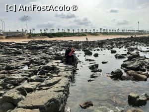 [P12] Plaja Casablanca » foto by adso
 - 
<span class="allrVoted glyphicon glyphicon-heart hidden" id="av1456502"></span>
<a class="m-l-10 hidden" id="sv1456502" onclick="voting_Foto_DelVot(,1456502,3221)" role="button">șterge vot <span class="glyphicon glyphicon-remove"></span></a>
<a id="v91456502" class=" c-red"  onclick="voting_Foto_SetVot(1456502)" role="button"><span class="glyphicon glyphicon-heart-empty"></span> <b>LIKE</b> = Votează poza</a> <img class="hidden"  id="f1456502W9" src="/imagini/loader.gif" border="0" /><span class="AjErrMes hidden" id="e1456502ErM"></span>