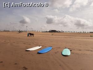 [P07] Plaja Casablanca » foto by adso
 - 
<span class="allrVoted glyphicon glyphicon-heart hidden" id="av1456497"></span>
<a class="m-l-10 hidden" id="sv1456497" onclick="voting_Foto_DelVot(,1456497,3221)" role="button">șterge vot <span class="glyphicon glyphicon-remove"></span></a>
<a id="v91456497" class=" c-red"  onclick="voting_Foto_SetVot(1456497)" role="button"><span class="glyphicon glyphicon-heart-empty"></span> <b>LIKE</b> = Votează poza</a> <img class="hidden"  id="f1456497W9" src="/imagini/loader.gif" border="0" /><span class="AjErrMes hidden" id="e1456497ErM"></span>