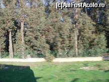 [P05] Padurea de eucalipt,de la marginea orasului,asigura oxigenul pentru Casablanca » foto by dganea
 - 
<span class="allrVoted glyphicon glyphicon-heart hidden" id="av184023"></span>
<a class="m-l-10 hidden" id="sv184023" onclick="voting_Foto_DelVot(,184023,3221)" role="button">șterge vot <span class="glyphicon glyphicon-remove"></span></a>
<a id="v9184023" class=" c-red"  onclick="voting_Foto_SetVot(184023)" role="button"><span class="glyphicon glyphicon-heart-empty"></span> <b>LIKE</b> = Votează poza</a> <img class="hidden"  id="f184023W9" src="/imagini/loader.gif" border="0" /><span class="AjErrMes hidden" id="e184023ErM"></span>