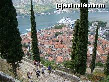 [P13] Tot orasul vechi Kotor, de pe drumul ce urca spre fortificatiile superioare » foto by Alexandru G.*
 - 
<span class="allrVoted glyphicon glyphicon-heart hidden" id="av290821"></span>
<a class="m-l-10 hidden" id="sv290821" onclick="voting_Foto_DelVot(,290821,3229)" role="button">șterge vot <span class="glyphicon glyphicon-remove"></span></a>
<a id="v9290821" class=" c-red"  onclick="voting_Foto_SetVot(290821)" role="button"><span class="glyphicon glyphicon-heart-empty"></span> <b>LIKE</b> = Votează poza</a> <img class="hidden"  id="f290821W9" src="/imagini/loader.gif" border="0" /><span class="AjErrMes hidden" id="e290821ErM"></span>