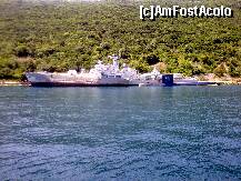 [P08] Ramasite ale marinei militare muntenegrene, sau ex-iugoslave. » foto by presario
 - 
<span class="allrVoted glyphicon glyphicon-heart hidden" id="av142638"></span>
<a class="m-l-10 hidden" id="sv142638" onclick="voting_Foto_DelVot(,142638,3229)" role="button">șterge vot <span class="glyphicon glyphicon-remove"></span></a>
<a id="v9142638" class=" c-red"  onclick="voting_Foto_SetVot(142638)" role="button"><span class="glyphicon glyphicon-heart-empty"></span> <b>LIKE</b> = Votează poza</a> <img class="hidden"  id="f142638W9" src="/imagini/loader.gif" border="0" /><span class="AjErrMes hidden" id="e142638ErM"></span>