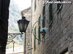 [P39]  -- <small>// FĂRĂ DESCRIERE</small> » foto by crismis
 - 
<span class="allrVoted glyphicon glyphicon-heart hidden" id="av702814"></span>
<a class="m-l-10 hidden" id="sv702814" onclick="voting_Foto_DelVot(,702814,3229)" role="button">șterge vot <span class="glyphicon glyphicon-remove"></span></a>
<a id="v9702814" class=" c-red"  onclick="voting_Foto_SetVot(702814)" role="button"><span class="glyphicon glyphicon-heart-empty"></span> <b>LIKE</b> = Votează poza</a> <img class="hidden"  id="f702814W9" src="/imagini/loader.gif" border="0" /><span class="AjErrMes hidden" id="e702814ErM"></span>