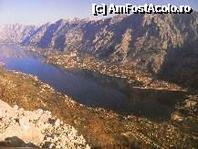 [P24] Vedere cu fiordul Kotor in toata maretia si frumusetea lui » foto by ileanaxperta*
 - 
<span class="allrVoted glyphicon glyphicon-heart hidden" id="av268251"></span>
<a class="m-l-10 hidden" id="sv268251" onclick="voting_Foto_DelVot(,268251,3229)" role="button">șterge vot <span class="glyphicon glyphicon-remove"></span></a>
<a id="v9268251" class=" c-red"  onclick="voting_Foto_SetVot(268251)" role="button"><span class="glyphicon glyphicon-heart-empty"></span> <b>LIKE</b> = Votează poza</a> <img class="hidden"  id="f268251W9" src="/imagini/loader.gif" border="0" /><span class="AjErrMes hidden" id="e268251ErM"></span>