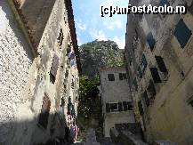 [P15] Kotor - Pe strazile orasului vechi » foto by marius.covaci
 - 
<span class="allrVoted glyphicon glyphicon-heart hidden" id="av137596"></span>
<a class="m-l-10 hidden" id="sv137596" onclick="voting_Foto_DelVot(,137596,3229)" role="button">șterge vot <span class="glyphicon glyphicon-remove"></span></a>
<a id="v9137596" class=" c-red"  onclick="voting_Foto_SetVot(137596)" role="button"><span class="glyphicon glyphicon-heart-empty"></span> <b>LIKE</b> = Votează poza</a> <img class="hidden"  id="f137596W9" src="/imagini/loader.gif" border="0" /><span class="AjErrMes hidden" id="e137596ErM"></span>