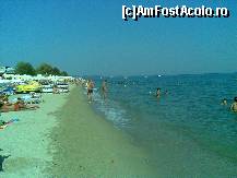 [P18] Hanioti Palace Hotel - plaja publică din Hanioti » foto by nicole33
 - 
<span class="allrVoted glyphicon glyphicon-heart hidden" id="av299977"></span>
<a class="m-l-10 hidden" id="sv299977" onclick="voting_Foto_DelVot(,299977,3230)" role="button">șterge vot <span class="glyphicon glyphicon-remove"></span></a>
<a id="v9299977" class=" c-red"  onclick="voting_Foto_SetVot(299977)" role="button"><span class="glyphicon glyphicon-heart-empty"></span> <b>LIKE</b> = Votează poza</a> <img class="hidden"  id="f299977W9" src="/imagini/loader.gif" border="0" /><span class="AjErrMes hidden" id="e299977ErM"></span>