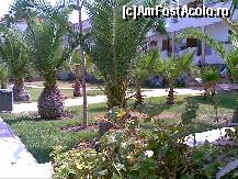 [P30] Hanioti Palace Hotel - palmieri în grădină » foto by nicole33
 - 
<span class="allrVoted glyphicon glyphicon-heart hidden" id="av299989"></span>
<a class="m-l-10 hidden" id="sv299989" onclick="voting_Foto_DelVot(,299989,3230)" role="button">șterge vot <span class="glyphicon glyphicon-remove"></span></a>
<a id="v9299989" class=" c-red"  onclick="voting_Foto_SetVot(299989)" role="button"><span class="glyphicon glyphicon-heart-empty"></span> <b>LIKE</b> = Votează poza</a> <img class="hidden"  id="f299989W9" src="/imagini/loader.gif" border="0" /><span class="AjErrMes hidden" id="e299989ErM"></span>