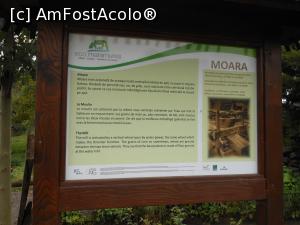 [P23] Sârbi - Ansamblul de arhitectură tehnică populară. Informații - Moara. » foto by iulianic
 - 
<span class="allrVoted glyphicon glyphicon-heart hidden" id="av1337619"></span>
<a class="m-l-10 hidden" id="sv1337619" onclick="voting_Foto_DelVot(,1337619,3234)" role="button">șterge vot <span class="glyphicon glyphicon-remove"></span></a>
<a id="v91337619" class=" c-red"  onclick="voting_Foto_SetVot(1337619)" role="button"><span class="glyphicon glyphicon-heart-empty"></span> <b>LIKE</b> = Votează poza</a> <img class="hidden"  id="f1337619W9" src="/imagini/loader.gif" border="0" /><span class="AjErrMes hidden" id="e1337619ErM"></span>