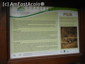 [P25] Sârbi - Ansamblul de arhitectură tehnică populară. Informații - Piua. » foto by iulianic
 - 
<span class="allrVoted glyphicon glyphicon-heart hidden" id="av1337621"></span>
<a class="m-l-10 hidden" id="sv1337621" onclick="voting_Foto_DelVot(,1337621,3234)" role="button">șterge vot <span class="glyphicon glyphicon-remove"></span></a>
<a id="v91337621" class=" c-red"  onclick="voting_Foto_SetVot(1337621)" role="button"><span class="glyphicon glyphicon-heart-empty"></span> <b>LIKE</b> = Votează poza</a> <img class="hidden"  id="f1337621W9" src="/imagini/loader.gif" border="0" /><span class="AjErrMes hidden" id="e1337621ErM"></span>