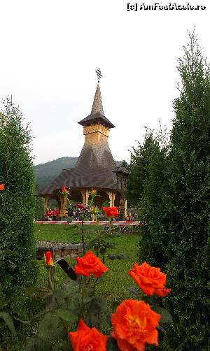 [P19] La Biserica din Moisei.  » foto by alinaro
 - 
<span class="allrVoted glyphicon glyphicon-heart hidden" id="av681732"></span>
<a class="m-l-10 hidden" id="sv681732" onclick="voting_Foto_DelVot(,681732,3234)" role="button">șterge vot <span class="glyphicon glyphicon-remove"></span></a>
<a id="v9681732" class=" c-red"  onclick="voting_Foto_SetVot(681732)" role="button"><span class="glyphicon glyphicon-heart-empty"></span> <b>LIKE</b> = Votează poza</a> <img class="hidden"  id="f681732W9" src="/imagini/loader.gif" border="0" /><span class="AjErrMes hidden" id="e681732ErM"></span>