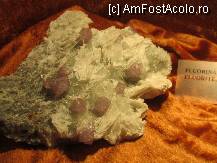 [P28]  -- <small>// FĂRĂ DESCRIERE</small> » foto by Cristian_h
 - 
<span class="allrVoted glyphicon glyphicon-heart hidden" id="av132144"></span>
<a class="m-l-10 hidden" id="sv132144" onclick="voting_Foto_DelVot(,132144,3234)" role="button">șterge vot <span class="glyphicon glyphicon-remove"></span></a>
<a id="v9132144" class=" c-red"  onclick="voting_Foto_SetVot(132144)" role="button"><span class="glyphicon glyphicon-heart-empty"></span> <b>LIKE</b> = Votează poza</a> <img class="hidden"  id="f132144W9" src="/imagini/loader.gif" border="0" /><span class="AjErrMes hidden" id="e132144ErM"></span>