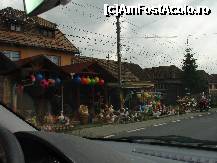 [P14]  -- <small>// FĂRĂ DESCRIERE</small> » foto by susu
 - 
<span class="allrVoted glyphicon glyphicon-heart hidden" id="av243579"></span>
<a class="m-l-10 hidden" id="sv243579" onclick="voting_Foto_DelVot(,243579,3234)" role="button">șterge vot <span class="glyphicon glyphicon-remove"></span></a>
<a id="v9243579" class=" c-red"  onclick="voting_Foto_SetVot(243579)" role="button"><span class="glyphicon glyphicon-heart-empty"></span> <b>LIKE</b> = Votează poza</a> <img class="hidden"  id="f243579W9" src="/imagini/loader.gif" border="0" /><span class="AjErrMes hidden" id="e243579ErM"></span>