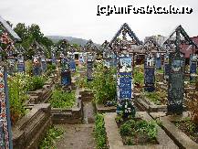 [P41]  -- <small>// FĂRĂ DESCRIERE</small> » foto by susu
 - 
<span class="allrVoted glyphicon glyphicon-heart hidden" id="av243606"></span>
<a class="m-l-10 hidden" id="sv243606" onclick="voting_Foto_DelVot(,243606,3234)" role="button">șterge vot <span class="glyphicon glyphicon-remove"></span></a>
<a id="v9243606" class=" c-red"  onclick="voting_Foto_SetVot(243606)" role="button"><span class="glyphicon glyphicon-heart-empty"></span> <b>LIKE</b> = Votează poza</a> <img class="hidden"  id="f243606W9" src="/imagini/loader.gif" border="0" /><span class="AjErrMes hidden" id="e243606ErM"></span>