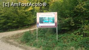 [P07] indicatorul către Lacul Albastru. De aici accesul se poate face doar pe jos » foto by costy69*
 - 
<span class="allrVoted glyphicon glyphicon-heart hidden" id="av795544"></span>
<a class="m-l-10 hidden" id="sv795544" onclick="voting_Foto_DelVot(,795544,3234)" role="button">șterge vot <span class="glyphicon glyphicon-remove"></span></a>
<a id="v9795544" class=" c-red"  onclick="voting_Foto_SetVot(795544)" role="button"><span class="glyphicon glyphicon-heart-empty"></span> <b>LIKE</b> = Votează poza</a> <img class="hidden"  id="f795544W9" src="/imagini/loader.gif" border="0" /><span class="AjErrMes hidden" id="e795544ErM"></span>