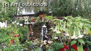 [P27] Mânăstirea Dumbrava - ”în seră” » foto by costy69*
 - 
<span class="allrVoted glyphicon glyphicon-heart hidden" id="av796472"></span>
<a class="m-l-10 hidden" id="sv796472" onclick="voting_Foto_DelVot(,796472,3234)" role="button">șterge vot <span class="glyphicon glyphicon-remove"></span></a>
<a id="v9796472" class=" c-red"  onclick="voting_Foto_SetVot(796472)" role="button"><span class="glyphicon glyphicon-heart-empty"></span> <b>LIKE</b> = Votează poza</a> <img class="hidden"  id="f796472W9" src="/imagini/loader.gif" border="0" /><span class="AjErrMes hidden" id="e796472ErM"></span>