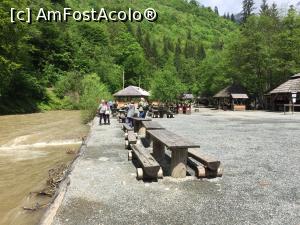 [P17] Paltin - capăt de linie » foto by ANILU
 - 
<span class="allrVoted glyphicon glyphicon-heart hidden" id="av1073939"></span>
<a class="m-l-10 hidden" id="sv1073939" onclick="voting_Foto_DelVot(,1073939,3234)" role="button">șterge vot <span class="glyphicon glyphicon-remove"></span></a>
<a id="v91073939" class=" c-red"  onclick="voting_Foto_SetVot(1073939)" role="button"><span class="glyphicon glyphicon-heart-empty"></span> <b>LIKE</b> = Votează poza</a> <img class="hidden"  id="f1073939W9" src="/imagini/loader.gif" border="0" /><span class="AjErrMes hidden" id="e1073939ErM"></span>