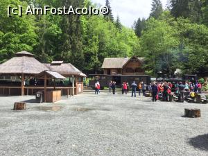 [P18] Paltin - capăt de linie » foto by ANILU
 - 
<span class="allrVoted glyphicon glyphicon-heart hidden" id="av1073940"></span>
<a class="m-l-10 hidden" id="sv1073940" onclick="voting_Foto_DelVot(,1073940,3234)" role="button">șterge vot <span class="glyphicon glyphicon-remove"></span></a>
<a id="v91073940" class=" c-red"  onclick="voting_Foto_SetVot(1073940)" role="button"><span class="glyphicon glyphicon-heart-empty"></span> <b>LIKE</b> = Votează poza</a> <img class="hidden"  id="f1073940W9" src="/imagini/loader.gif" border="0" /><span class="AjErrMes hidden" id="e1073940ErM"></span>