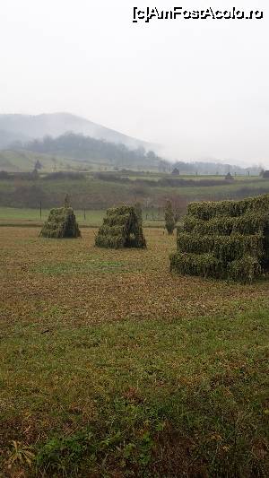 [P03] In decembrie, fan la uscat in Barsana » foto by ccbg*
 - 
<span class="allrVoted glyphicon glyphicon-heart hidden" id="av697251"></span>
<a class="m-l-10 hidden" id="sv697251" onclick="voting_Foto_DelVot(,697251,3234)" role="button">șterge vot <span class="glyphicon glyphicon-remove"></span></a>
<a id="v9697251" class=" c-red"  onclick="voting_Foto_SetVot(697251)" role="button"><span class="glyphicon glyphicon-heart-empty"></span> <b>LIKE</b> = Votează poza</a> <img class="hidden"  id="f697251W9" src="/imagini/loader.gif" border="0" /><span class="AjErrMes hidden" id="e697251ErM"></span>