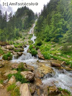 [P14] Cascada cailor » foto by bianca94
 - 
<span class="allrVoted glyphicon glyphicon-heart hidden" id="av1174289"></span>
<a class="m-l-10 hidden" id="sv1174289" onclick="voting_Foto_DelVot(,1174289,3234)" role="button">șterge vot <span class="glyphicon glyphicon-remove"></span></a>
<a id="v91174289" class=" c-red"  onclick="voting_Foto_SetVot(1174289)" role="button"><span class="glyphicon glyphicon-heart-empty"></span> <b>LIKE</b> = Votează poza</a> <img class="hidden"  id="f1174289W9" src="/imagini/loader.gif" border="0" /><span class="AjErrMes hidden" id="e1174289ErM"></span>