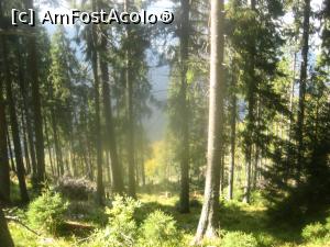[P09] Pana la cascada, ne insoteste o padurea deasa » foto by dorgo
 - 
<span class="allrVoted glyphicon glyphicon-heart hidden" id="av807544"></span>
<a class="m-l-10 hidden" id="sv807544" onclick="voting_Foto_DelVot(,807544,3234)" role="button">șterge vot <span class="glyphicon glyphicon-remove"></span></a>
<a id="v9807544" class=" c-red"  onclick="voting_Foto_SetVot(807544)" role="button"><span class="glyphicon glyphicon-heart-empty"></span> <b>LIKE</b> = Votează poza</a> <img class="hidden"  id="f807544W9" src="/imagini/loader.gif" border="0" /><span class="AjErrMes hidden" id="e807544ErM"></span>