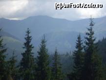 [P20] Peisaj vazut de la locul unde a avut loc festivalul. » foto by alinutzza140*
 - 
<span class="allrVoted glyphicon glyphicon-heart hidden" id="av119255"></span>
<a class="m-l-10 hidden" id="sv119255" onclick="voting_Foto_DelVot(,119255,3234)" role="button">șterge vot <span class="glyphicon glyphicon-remove"></span></a>
<a id="v9119255" class=" c-red"  onclick="voting_Foto_SetVot(119255)" role="button"><span class="glyphicon glyphicon-heart-empty"></span> <b>LIKE</b> = Votează poza</a> <img class="hidden"  id="f119255W9" src="/imagini/loader.gif" border="0" /><span class="AjErrMes hidden" id="e119255ErM"></span>