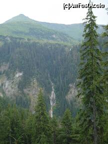 [P28] Undeva stanga sus,printre brazi se vede parca de unde izvoraste cascada!!:)! » foto by aida.alecu*
 - 
<span class="allrVoted glyphicon glyphicon-heart hidden" id="av123007"></span>
<a class="m-l-10 hidden" id="sv123007" onclick="voting_Foto_DelVot(,123007,3234)" role="button">șterge vot <span class="glyphicon glyphicon-remove"></span></a>
<a id="v9123007" class=" c-red"  onclick="voting_Foto_SetVot(123007)" role="button"><span class="glyphicon glyphicon-heart-empty"></span> <b>LIKE</b> = Votează poza</a> <img class="hidden"  id="f123007W9" src="/imagini/loader.gif" border="0" /><span class="AjErrMes hidden" id="e123007ErM"></span>