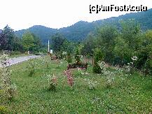 [P33] vedere din fata hotelului: multa verdeata, bancute, stilpisori pentru iluminat » foto by Chloe
 - 
<span class="allrVoted glyphicon glyphicon-heart hidden" id="av237569"></span>
<a class="m-l-10 hidden" id="sv237569" onclick="voting_Foto_DelVot(,237569,3241)" role="button">șterge vot <span class="glyphicon glyphicon-remove"></span></a>
<a id="v9237569" class=" c-red"  onclick="voting_Foto_SetVot(237569)" role="button"><span class="glyphicon glyphicon-heart-empty"></span> <b>LIKE</b> = Votează poza</a> <img class="hidden"  id="f237569W9" src="/imagini/loader.gif" border="0" /><span class="AjErrMes hidden" id="e237569ErM"></span>