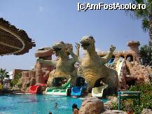 [P15] topoganele mari, kamelya - ce aventura!!! » foto by ramo
 - 
<span class="allrVoted glyphicon glyphicon-heart hidden" id="av17541"></span>
<a class="m-l-10 hidden" id="sv17541" onclick="voting_Foto_DelVot(,17541,3242)" role="button">șterge vot <span class="glyphicon glyphicon-remove"></span></a>
<a id="v917541" class=" c-red"  onclick="voting_Foto_SetVot(17541)" role="button"><span class="glyphicon glyphicon-heart-empty"></span> <b>LIKE</b> = Votează poza</a> <img class="hidden"  id="f17541W9" src="/imagini/loader.gif" border="0" /><span class="AjErrMes hidden" id="e17541ErM"></span>