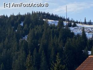 [P22] Vila Panoramic Păltiniş - pădure de brazi » foto by nicole33
 - 
<span class="allrVoted glyphicon glyphicon-heart hidden" id="av1420156"></span>
<a class="m-l-10 hidden" id="sv1420156" onclick="voting_Foto_DelVot(,1420156,3253)" role="button">șterge vot <span class="glyphicon glyphicon-remove"></span></a>
<a id="v91420156" class=" c-red"  onclick="voting_Foto_SetVot(1420156)" role="button"><span class="glyphicon glyphicon-heart-empty"></span> <b>LIKE</b> = Votează poza</a> <img class="hidden"  id="f1420156W9" src="/imagini/loader.gif" border="0" /><span class="AjErrMes hidden" id="e1420156ErM"></span>