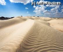 [P06] Desertul Empty Quarter (Rub Al-Khali), la 300 km nord de Salalah » foto by Mirna
 - 
<span class="allrVoted glyphicon glyphicon-heart hidden" id="av304163"></span>
<a class="m-l-10 hidden" id="sv304163" onclick="voting_Foto_DelVot(,304163,3254)" role="button">șterge vot <span class="glyphicon glyphicon-remove"></span></a>
<a id="v9304163" class=" c-red"  onclick="voting_Foto_SetVot(304163)" role="button"><span class="glyphicon glyphicon-heart-empty"></span> <b>LIKE</b> = Votează poza</a> <img class="hidden"  id="f304163W9" src="/imagini/loader.gif" border="0" /><span class="AjErrMes hidden" id="e304163ErM"></span>