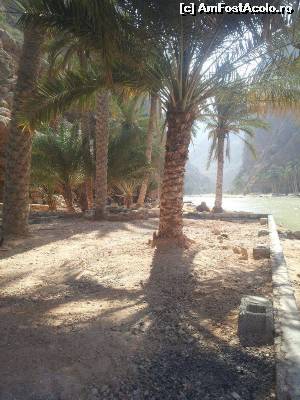 [P16] Wadi Shab » foto by Mirna
 - 
<span class="allrVoted glyphicon glyphicon-heart hidden" id="av624588"></span>
<a class="m-l-10 hidden" id="sv624588" onclick="voting_Foto_DelVot(,624588,3254)" role="button">șterge vot <span class="glyphicon glyphicon-remove"></span></a>
<a id="v9624588" class=" c-red"  onclick="voting_Foto_SetVot(624588)" role="button"><span class="glyphicon glyphicon-heart-empty"></span> <b>LIKE</b> = Votează poza</a> <img class="hidden"  id="f624588W9" src="/imagini/loader.gif" border="0" /><span class="AjErrMes hidden" id="e624588ErM"></span>