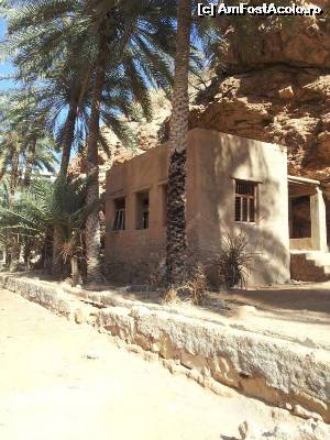 [P17] Wadi Shab » foto by Mirna
 - 
<span class="allrVoted glyphicon glyphicon-heart hidden" id="av624589"></span>
<a class="m-l-10 hidden" id="sv624589" onclick="voting_Foto_DelVot(,624589,3254)" role="button">șterge vot <span class="glyphicon glyphicon-remove"></span></a>
<a id="v9624589" class=" c-red"  onclick="voting_Foto_SetVot(624589)" role="button"><span class="glyphicon glyphicon-heart-empty"></span> <b>LIKE</b> = Votează poza</a> <img class="hidden"  id="f624589W9" src="/imagini/loader.gif" border="0" /><span class="AjErrMes hidden" id="e624589ErM"></span>