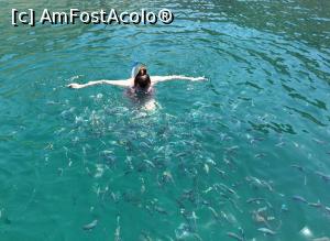 [P08] Turul cu barca din zona fiordurilor - am avut doua opriri pentru snorkeling, unde nu am facut mari eforturi sa observam pestii. Efectiv erau peste tot » foto by lizuk
 - 
<span class="allrVoted glyphicon glyphicon-heart hidden" id="av754136"></span>
<a class="m-l-10 hidden" id="sv754136" onclick="voting_Foto_DelVot(,754136,3254)" role="button">șterge vot <span class="glyphicon glyphicon-remove"></span></a>
<a id="v9754136" class=" c-red"  onclick="voting_Foto_SetVot(754136)" role="button"><span class="glyphicon glyphicon-heart-empty"></span> <b>LIKE</b> = Votează poza</a> <img class="hidden"  id="f754136W9" src="/imagini/loader.gif" border="0" /><span class="AjErrMes hidden" id="e754136ErM"></span>