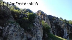 [P31] Cheile Dobrogei, un fost mare coral » foto by Yolanda
 - 
<span class="allrVoted glyphicon glyphicon-heart hidden" id="av999886"></span>
<a class="m-l-10 hidden" id="sv999886" onclick="voting_Foto_DelVot(,999886,3264)" role="button">șterge vot <span class="glyphicon glyphicon-remove"></span></a>
<a id="v9999886" class=" c-red"  onclick="voting_Foto_SetVot(999886)" role="button"><span class="glyphicon glyphicon-heart-empty"></span> <b>LIKE</b> = Votează poza</a> <img class="hidden"  id="f999886W9" src="/imagini/loader.gif" border="0" /><span class="AjErrMes hidden" id="e999886ErM"></span>