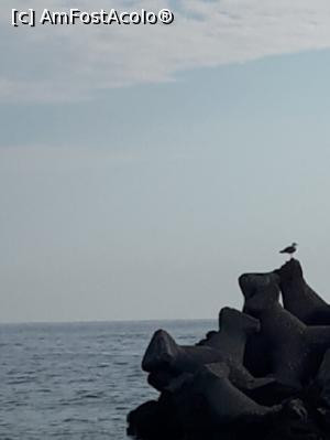 [P01]  -- <small>// FĂRĂ DESCRIERE</small> » foto by cosminap
 - 
<span class="allrVoted glyphicon glyphicon-heart hidden" id="av1178942"></span>
<a class="m-l-10 hidden" id="sv1178942" onclick="voting_Foto_DelVot(,1178942,3264)" role="button">șterge vot <span class="glyphicon glyphicon-remove"></span></a>
<a id="v91178942" class=" c-red"  onclick="voting_Foto_SetVot(1178942)" role="button"><span class="glyphicon glyphicon-heart-empty"></span> <b>LIKE</b> = Votează poza</a> <img class="hidden"  id="f1178942W9" src="/imagini/loader.gif" border="0" /><span class="AjErrMes hidden" id="e1178942ErM"></span>