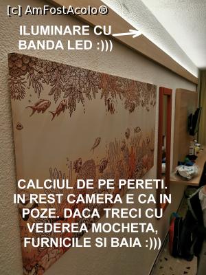 [P31] CALCIU PE PERETI? » foto by bigam21
 - 
<span class="allrVoted glyphicon glyphicon-heart hidden" id="av1325731"></span>
<a class="m-l-10 hidden" id="sv1325731" onclick="voting_Foto_DelVot(,1325731,3264)" role="button">șterge vot <span class="glyphicon glyphicon-remove"></span></a>
<a id="v91325731" class=" c-red"  onclick="voting_Foto_SetVot(1325731)" role="button"><span class="glyphicon glyphicon-heart-empty"></span> <b>LIKE</b> = Votează poza</a> <img class="hidden"  id="f1325731W9" src="/imagini/loader.gif" border="0" /><span class="AjErrMes hidden" id="e1325731ErM"></span>