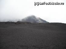[P04]  -- <small>// FĂRĂ DESCRIERE</small> » foto by Ioana_cj
 - 
<span class="allrVoted glyphicon glyphicon-heart hidden" id="av192501"></span>
<a class="m-l-10 hidden" id="sv192501" onclick="voting_Foto_DelVot(,192501,3281)" role="button">șterge vot <span class="glyphicon glyphicon-remove"></span></a>
<a id="v9192501" class=" c-red"  onclick="voting_Foto_SetVot(192501)" role="button"><span class="glyphicon glyphicon-heart-empty"></span> <b>LIKE</b> = Votează poza</a> <img class="hidden"  id="f192501W9" src="/imagini/loader.gif" border="0" /><span class="AjErrMes hidden" id="e192501ErM"></span>
