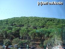 [P03] dupa ce am parasit orasul catania, am trecut de zona satelor pline de vita de vie, maslini si pomi fructiferi » foto by a.sr*
 - 
<span class="allrVoted glyphicon glyphicon-heart hidden" id="av268052"></span>
<a class="m-l-10 hidden" id="sv268052" onclick="voting_Foto_DelVot(,268052,3281)" role="button">șterge vot <span class="glyphicon glyphicon-remove"></span></a>
<a id="v9268052" class=" c-red"  onclick="voting_Foto_SetVot(268052)" role="button"><span class="glyphicon glyphicon-heart-empty"></span> <b>LIKE</b> = Votează poza</a> <img class="hidden"  id="f268052W9" src="/imagini/loader.gif" border="0" /><span class="AjErrMes hidden" id="e268052ErM"></span>